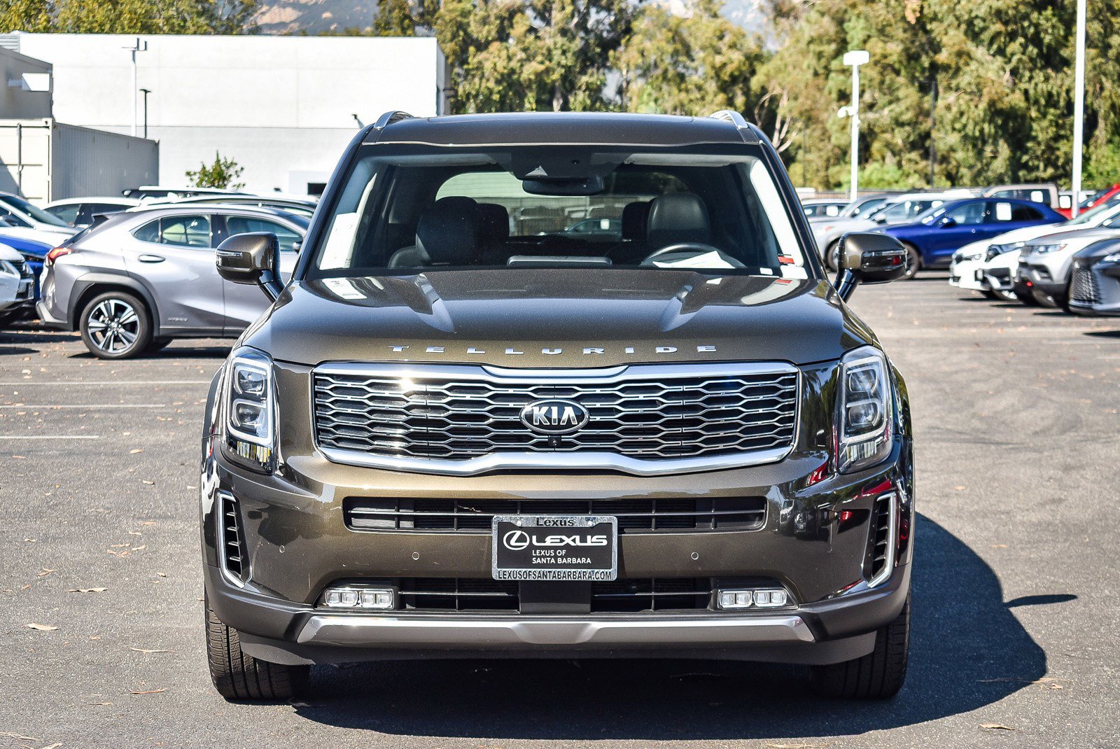 2020 Kia Telluride SX photo 2