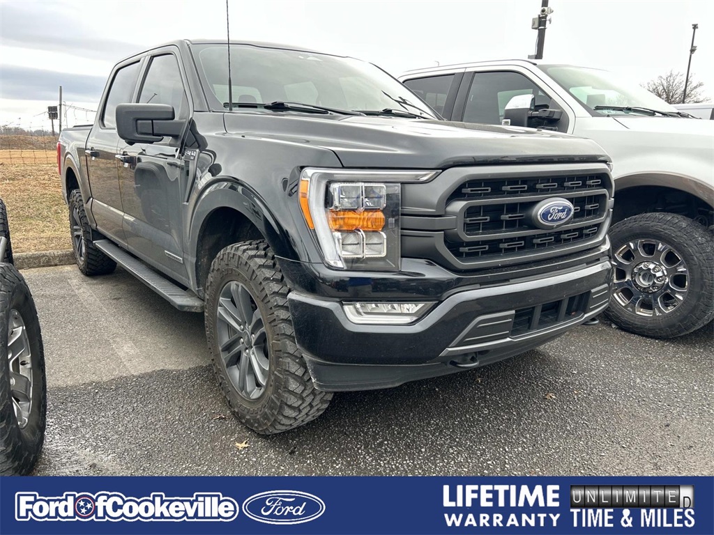 2023 Ford F-150 XLT's photo