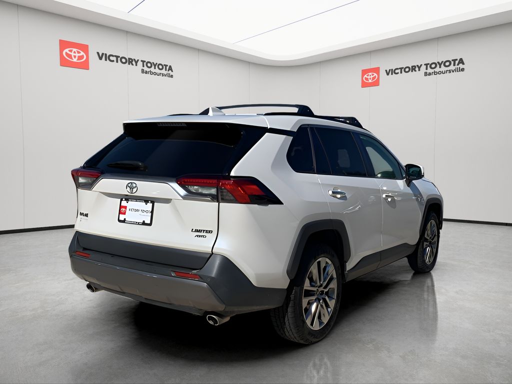 2019 Toyota RAV4 Limited photo 3