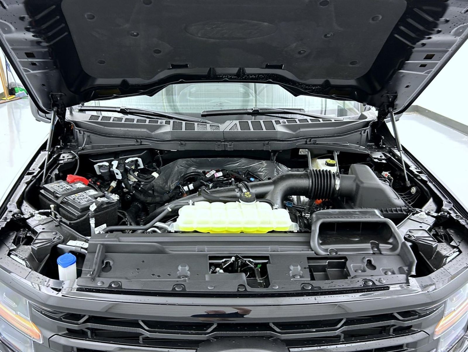 2025 Ford F-150 XLT photo 20
