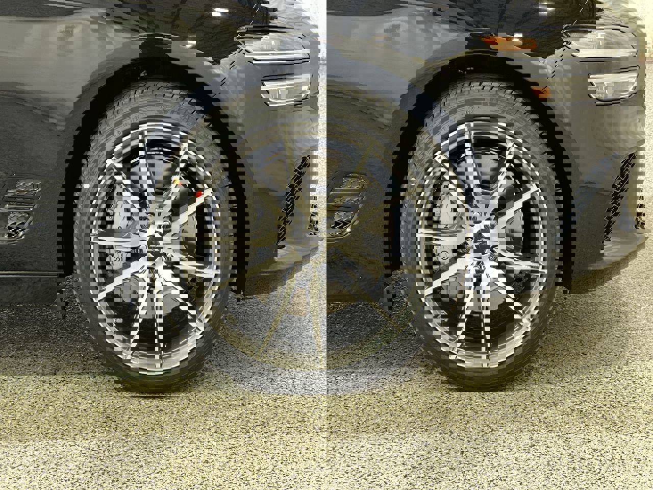 New 2026 Vik Black Genesis 2.5T Standard image 10