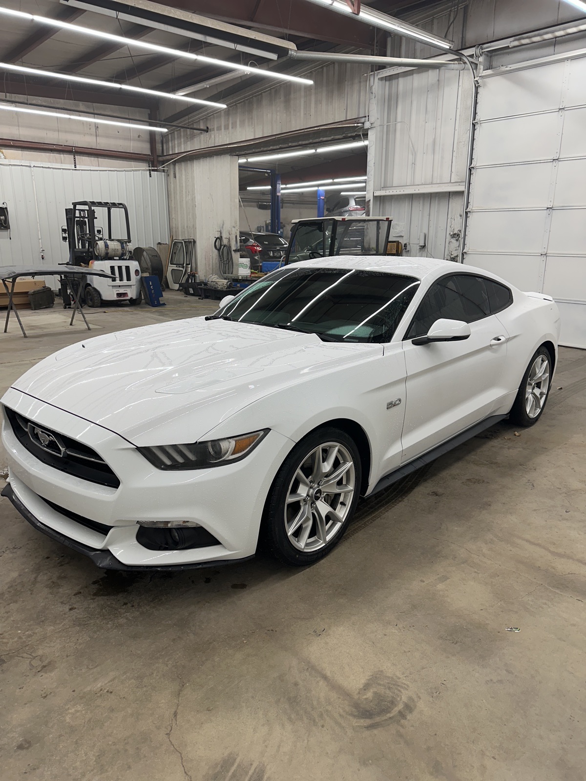 2015 Ford Mustang GT Premium photo 4