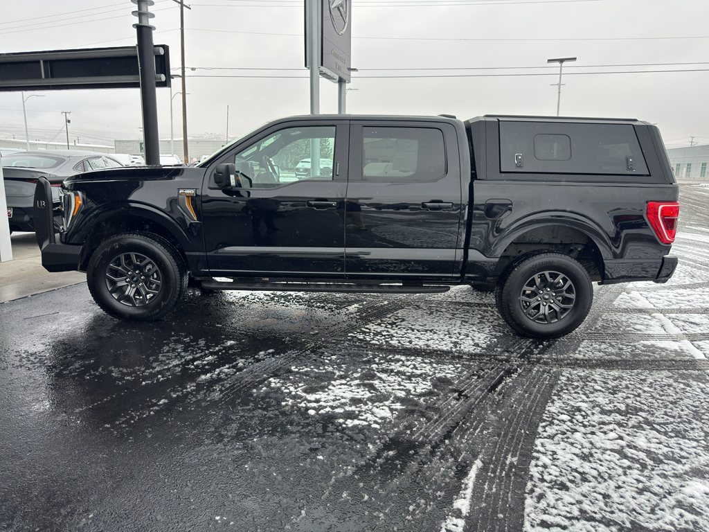 2023 Ford F-150 Tremor's photo