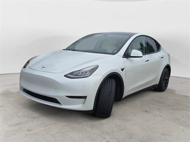 2021 Tesla Model Y Long Range's photo