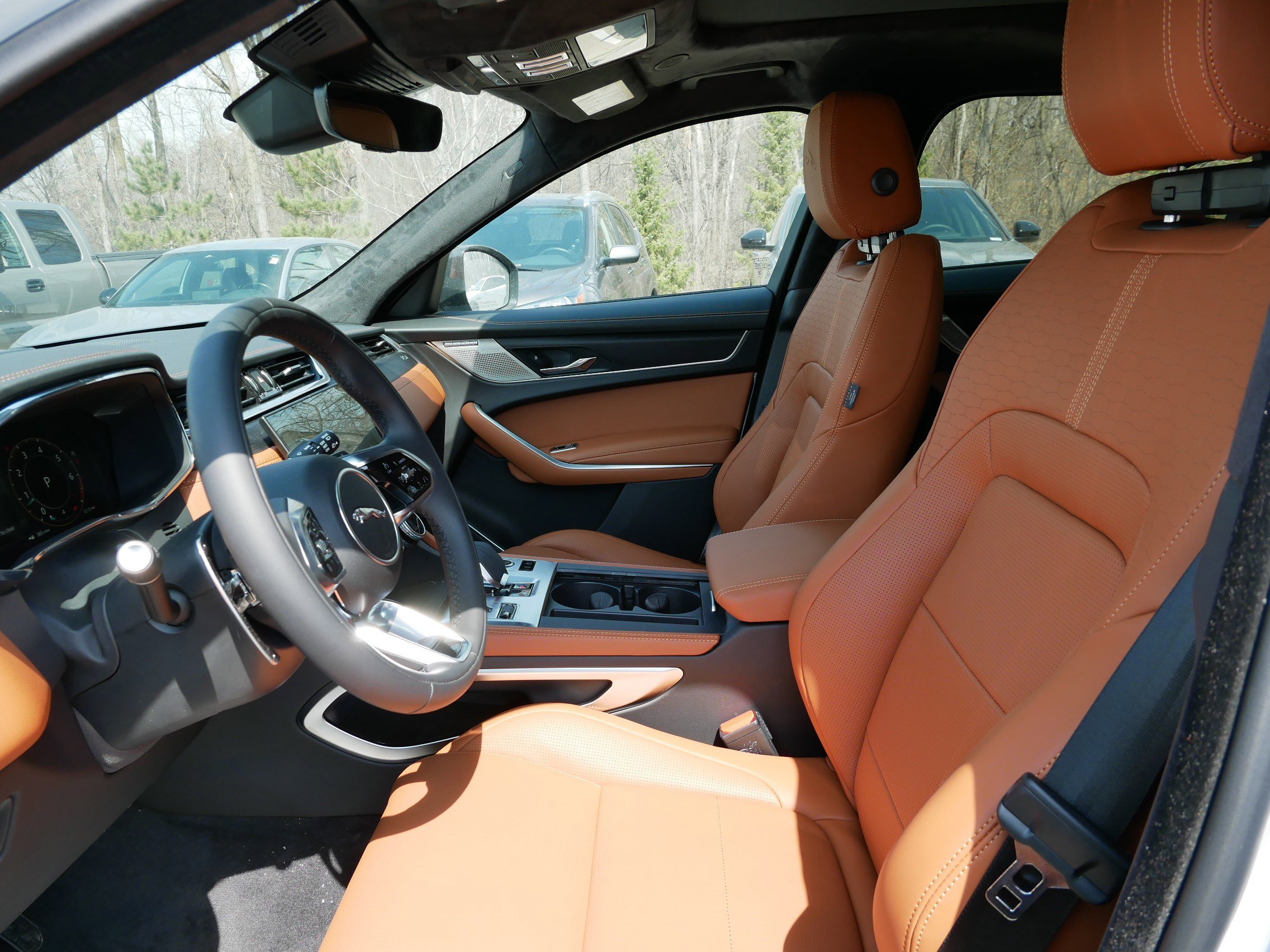 2026 Jaguar F-PACE P250 R-Dynamic S photo 3