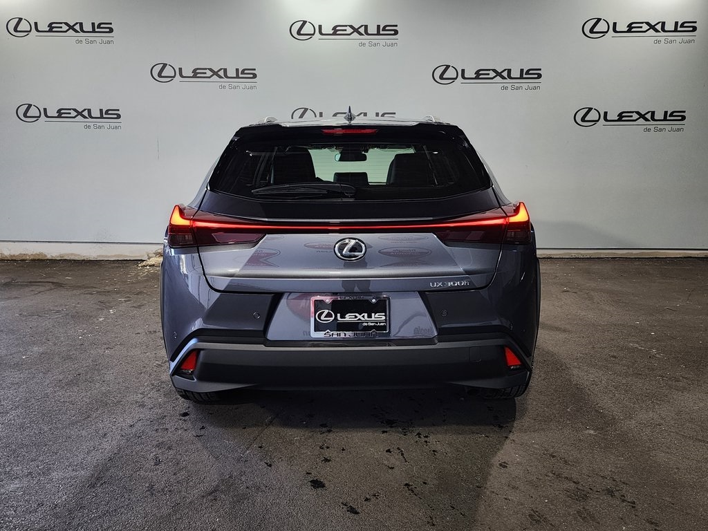 2025 Lexus UX photo 8
