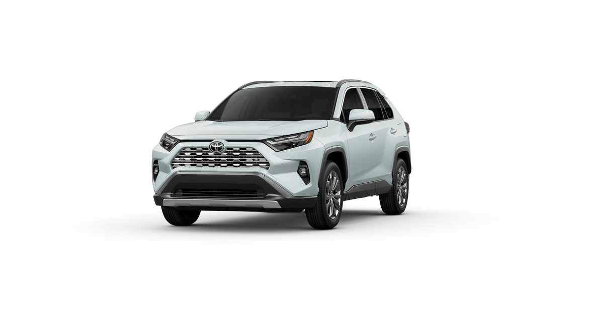 2025 Toyota RAV4 Hybrid Limited photo 20