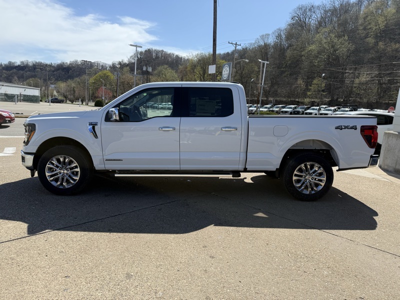2025 Ford F-150 XLT photo 4