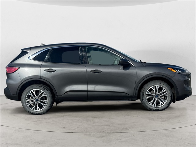 2022 Ford Escape SEL photo 6