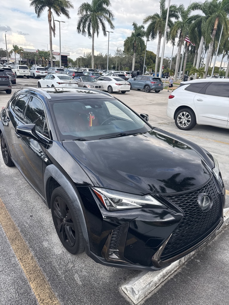 2019 Lexus UX 200 F SPORT