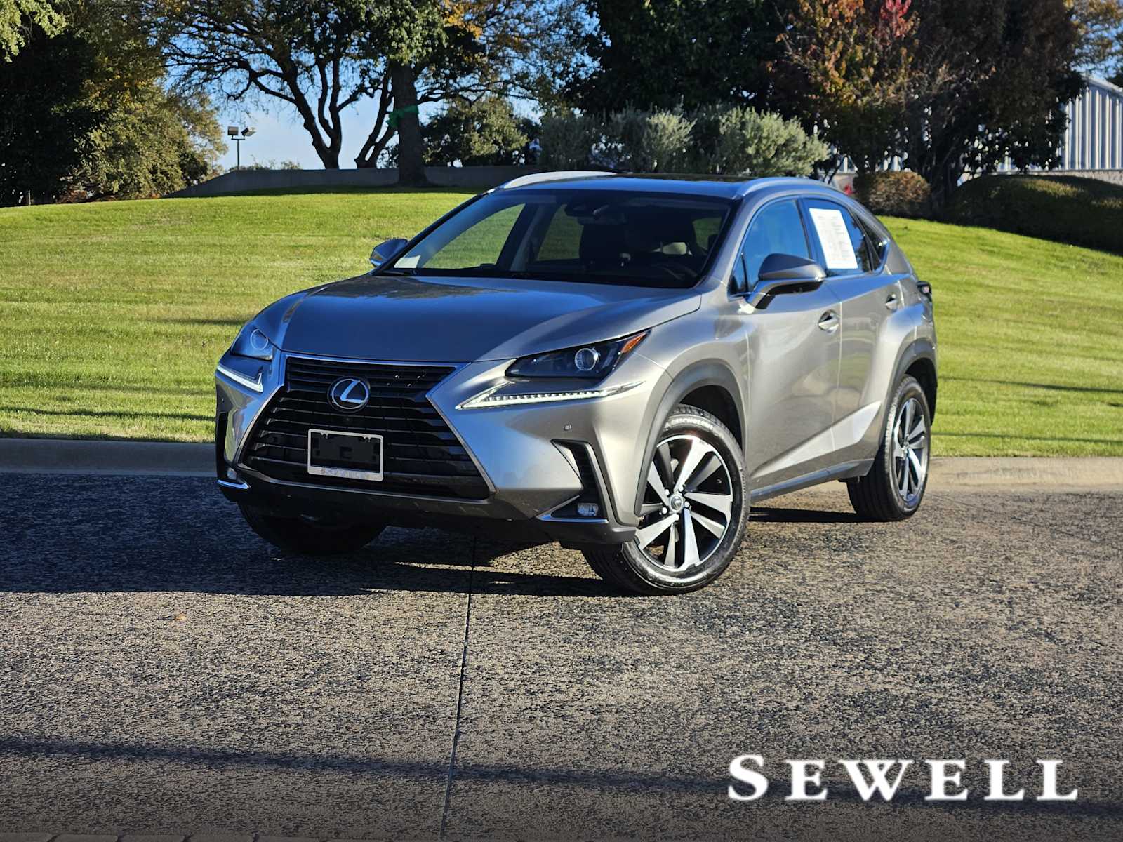 2020 Lexus NX 300's photo