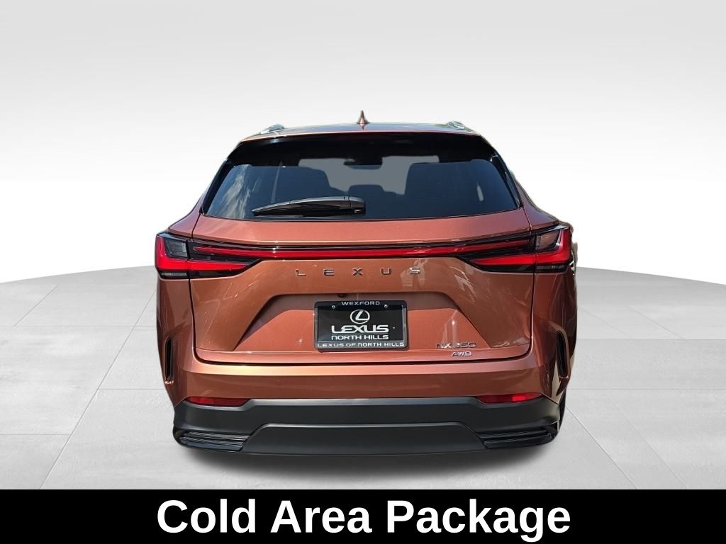 2025 Lexus NX 350 Premium photo 8