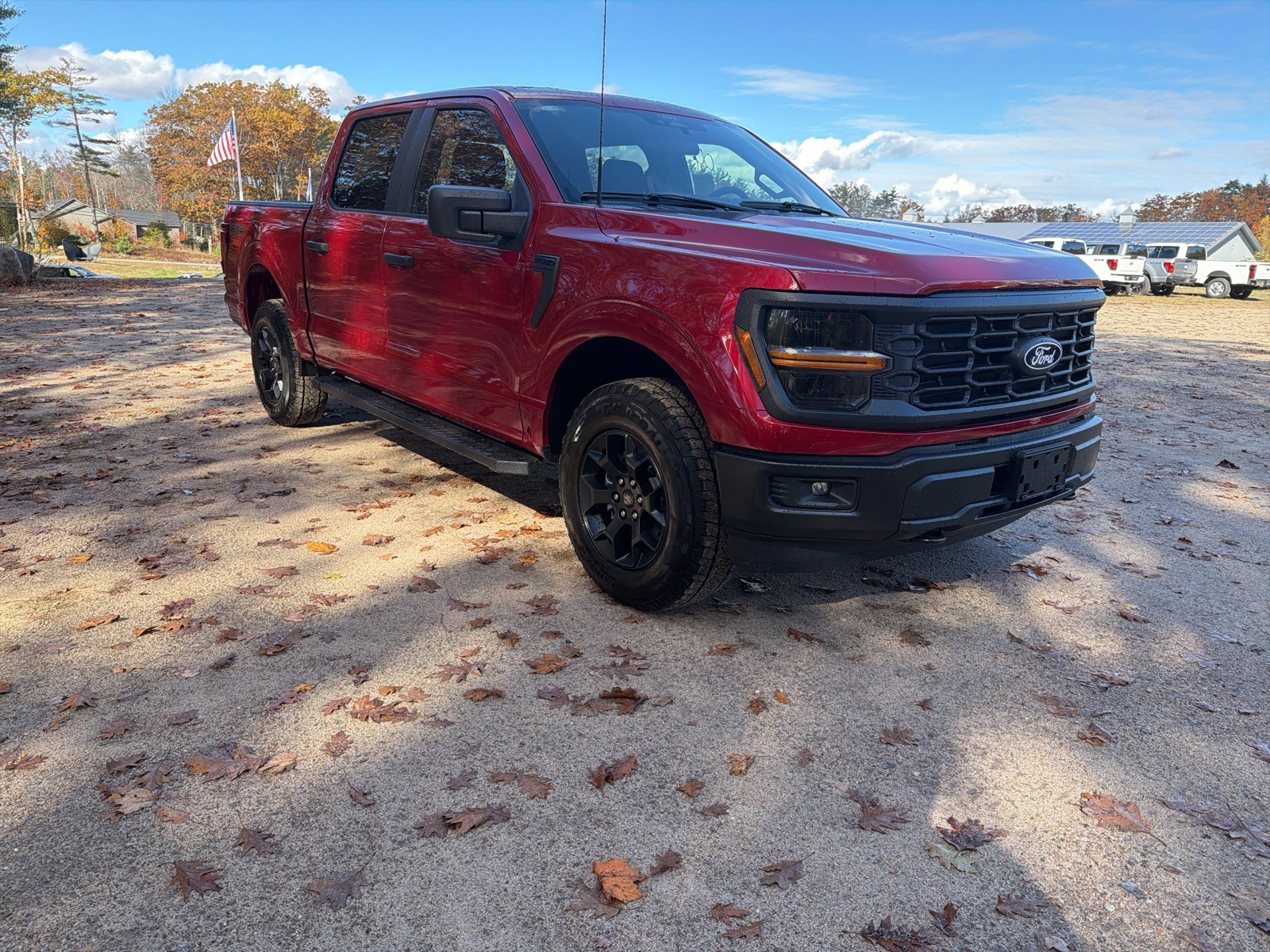 2025 Ford F-150 STX's photo