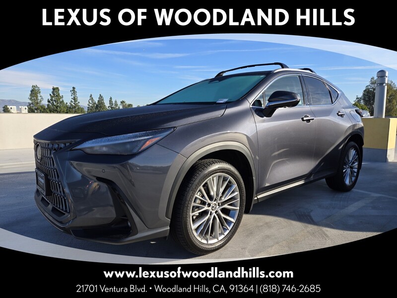 2025 Lexus NX 350's photo