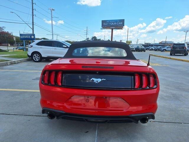 2019 Ford Mustang EcoBoost Premium Convertible photo 4
