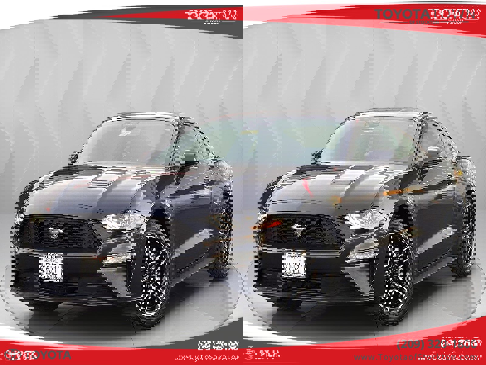 2022 Ford Mustang EcoBoost's photo