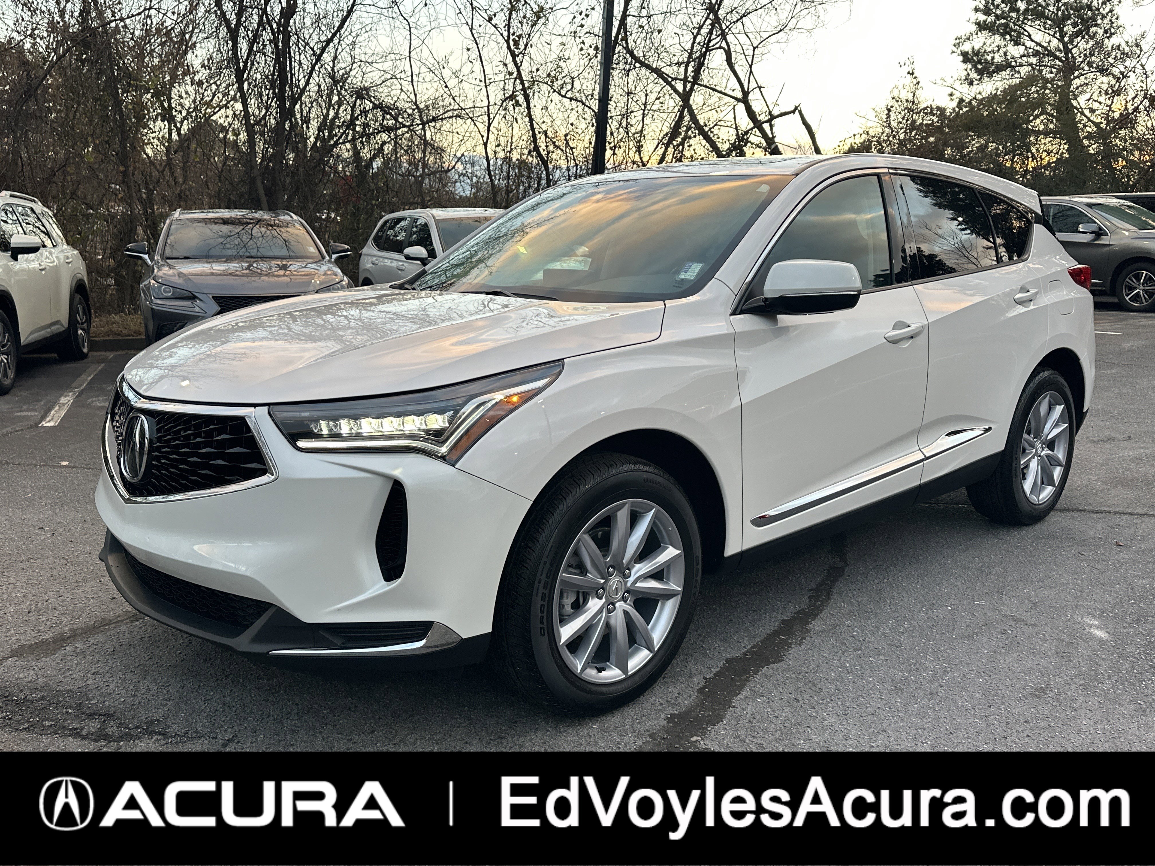 2024 Acura RDX Base's photo