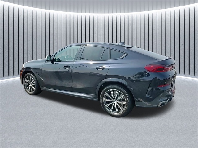 2023 Bmw X6 M50i photo 7