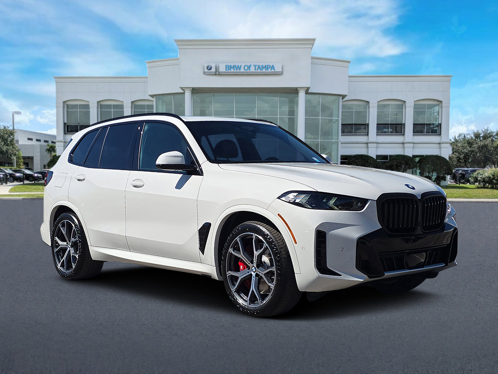 2026 BMW X5 50e's photo
