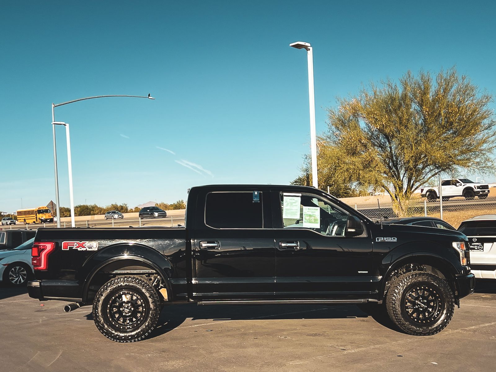 2016 Ford F-150 Platinum photo 2