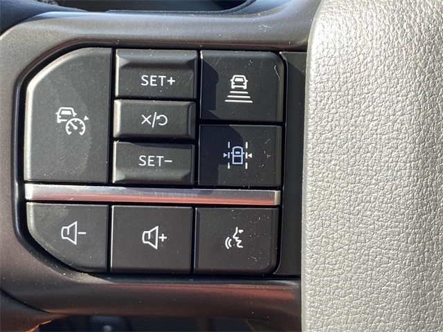 2025 Ford F-150 Tremor photo 15