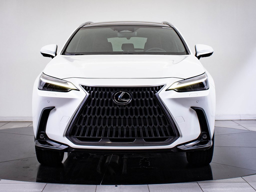 2023 Lexus NX 350 Luxury photo 2