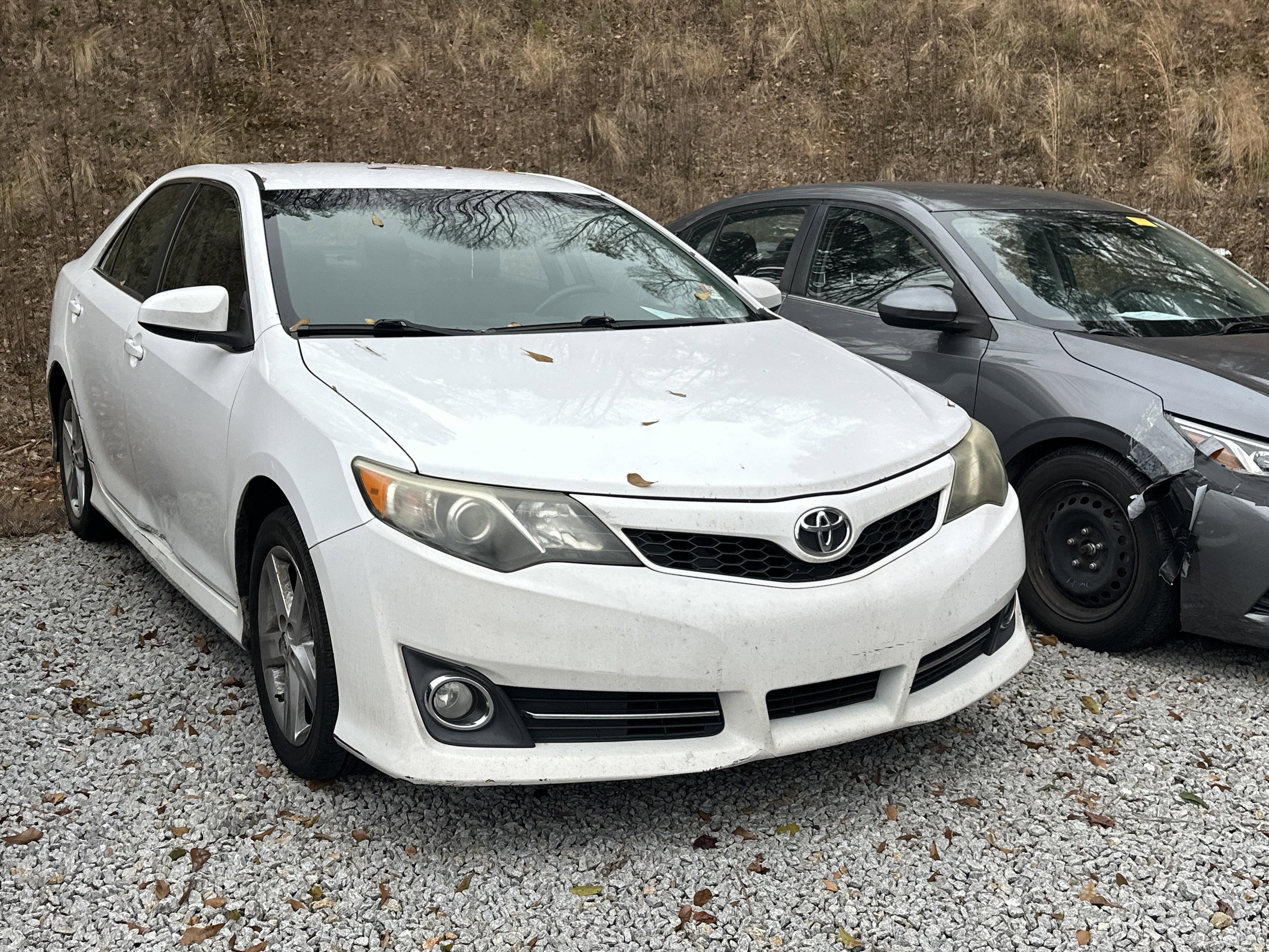 2014 Toyota Camry SE's photo
