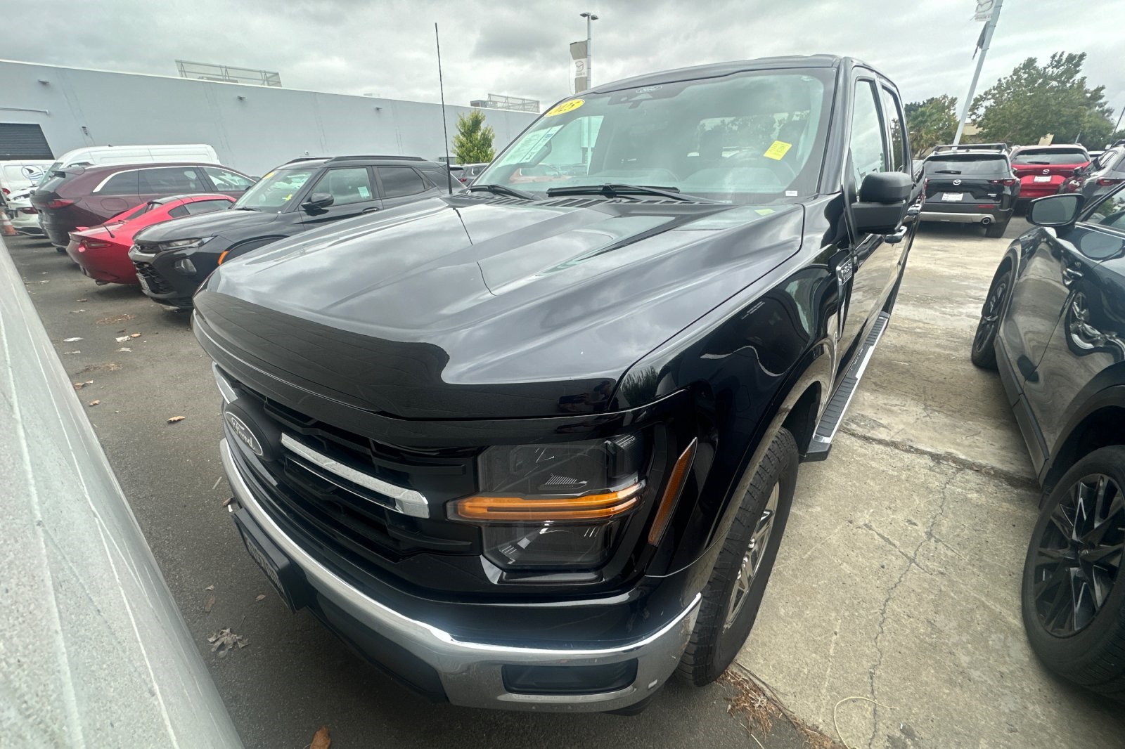 2025 Ford F-150 XLT photo 4