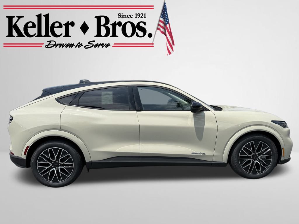 2025 Ford Mustang Mach-E Premium photo 7