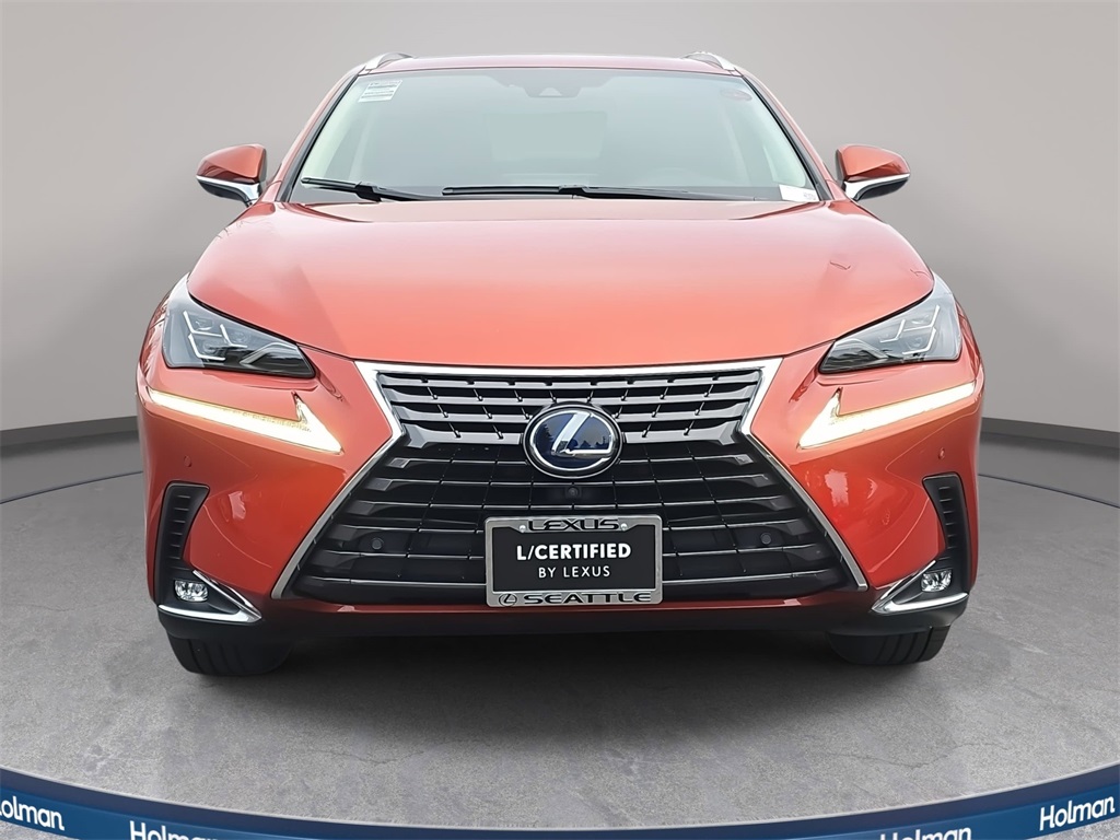 2020 Lexus NX 300h Luxury photo 2