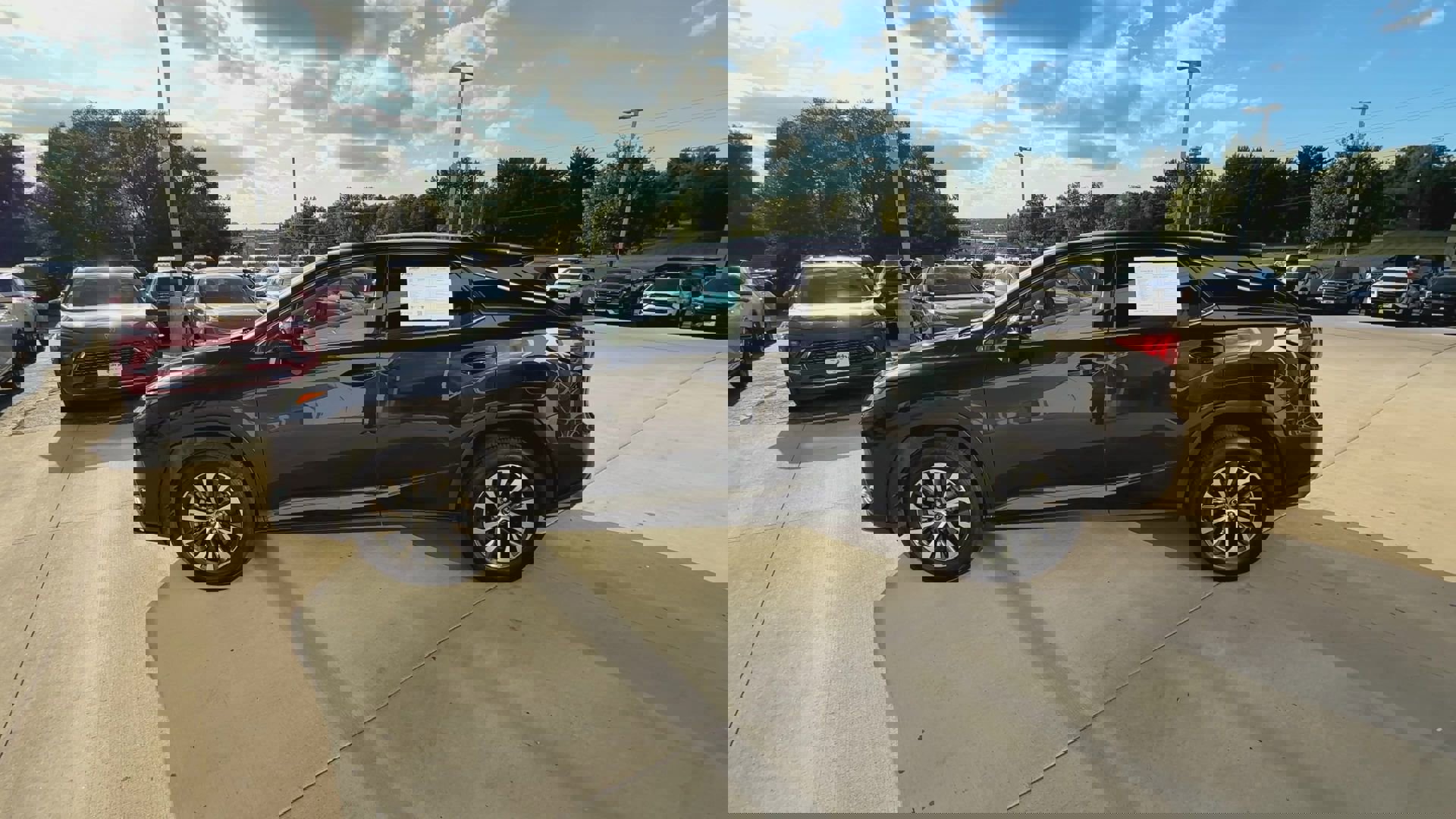 2022 Lexus RX 350 photo 4