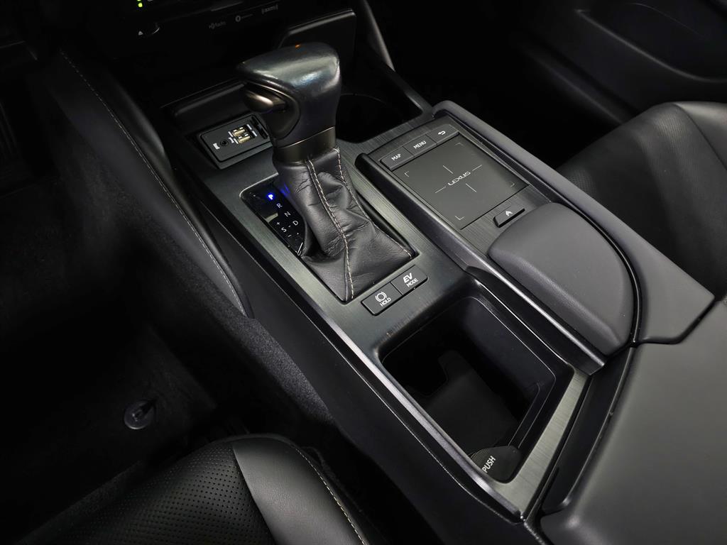 2020 Lexus ES 300h photo 30
