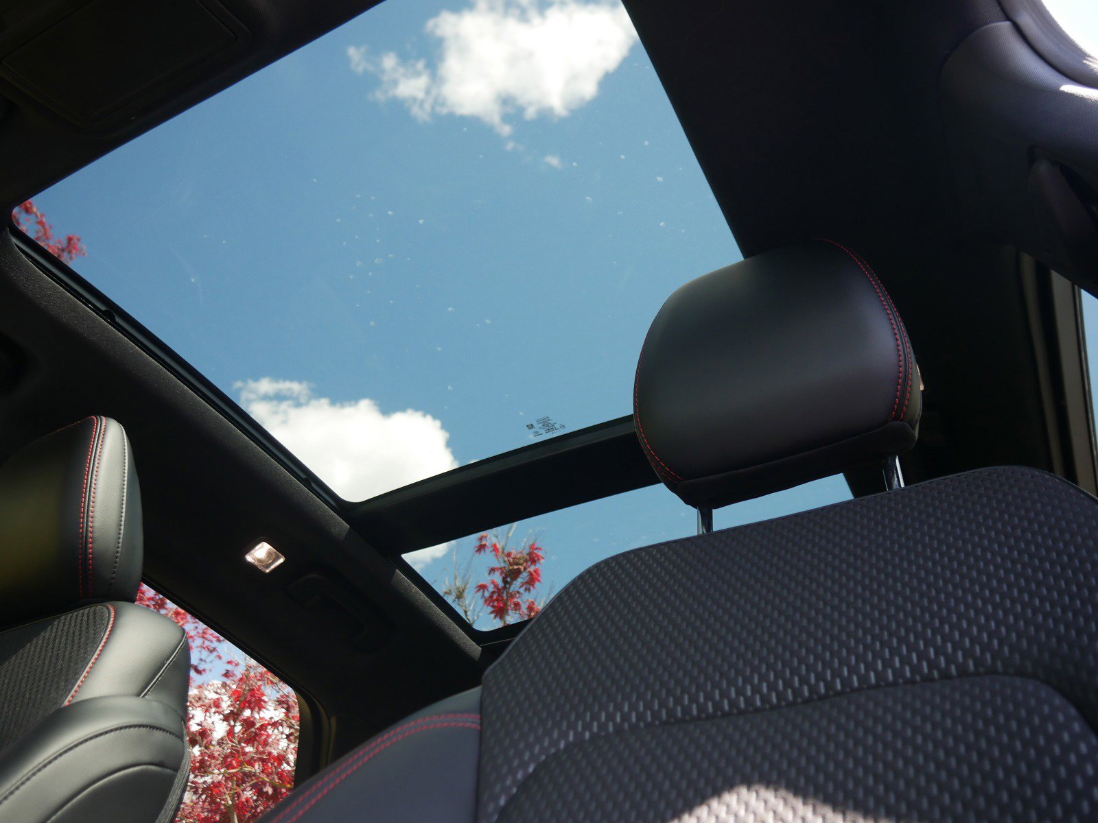 2024 Ford Escape ST-Line Select photo 5