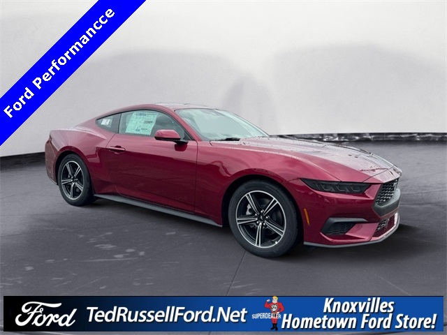 2025 Ford Mustang EcoBoost photo 3