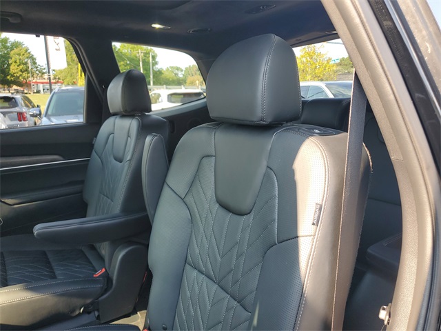 2025 Kia Telluride X-Line photo 10
