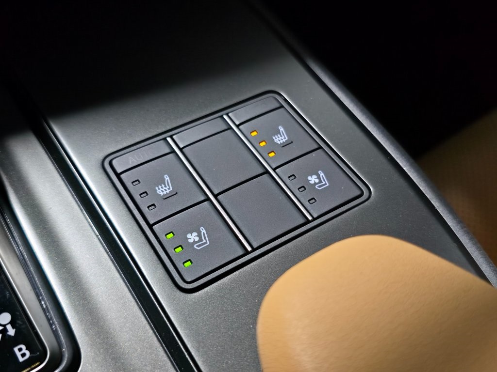 2025 Lexus UX photo 21