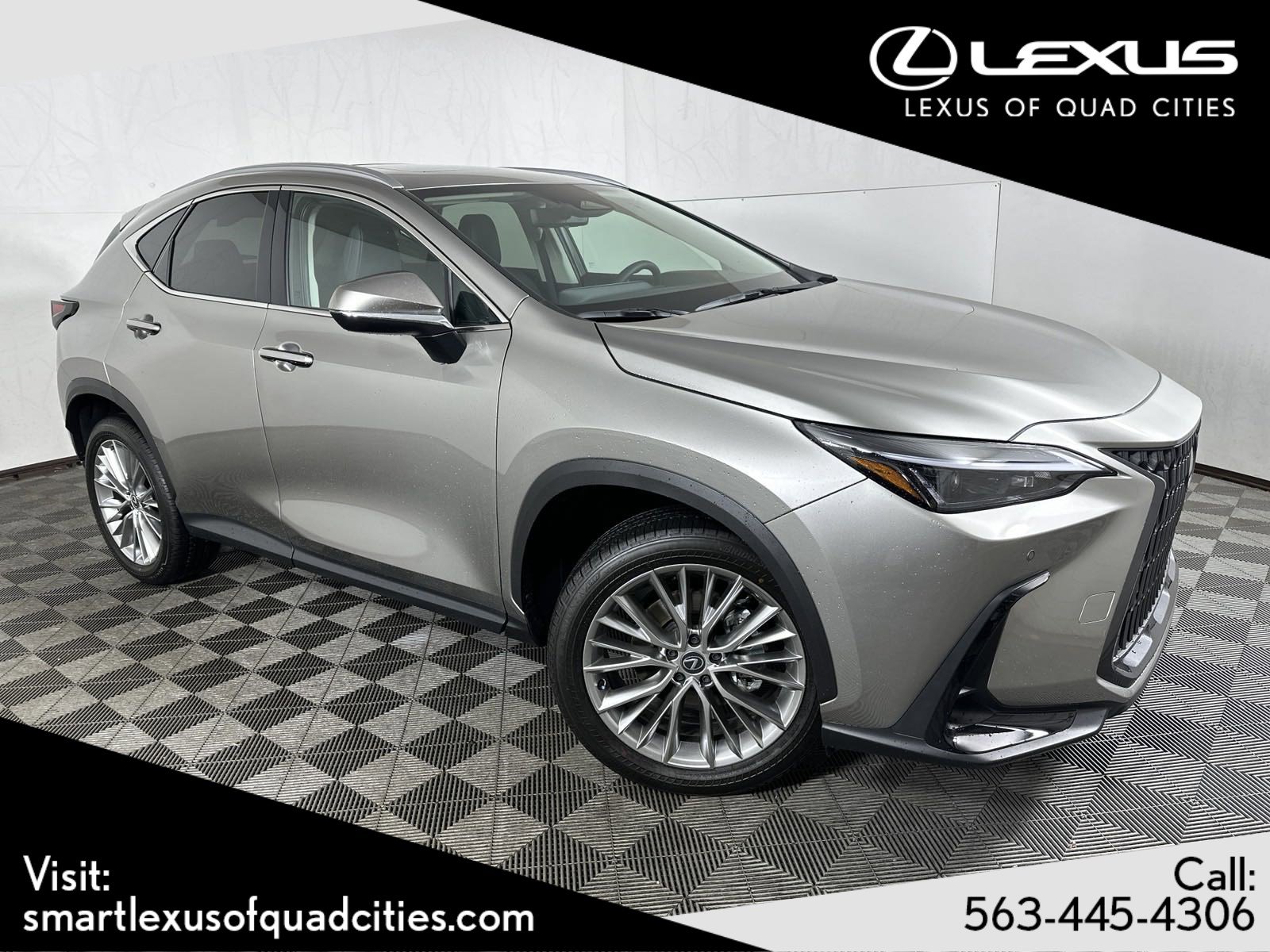 2025 Lexus NX 350's photo