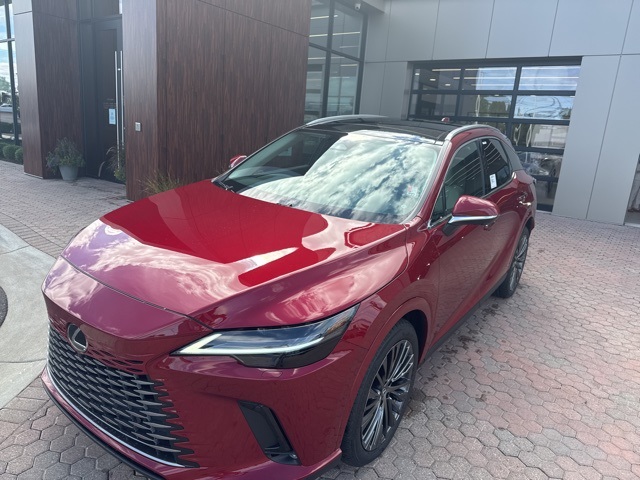 2025 Lexus RX 350 Luxury photo 18