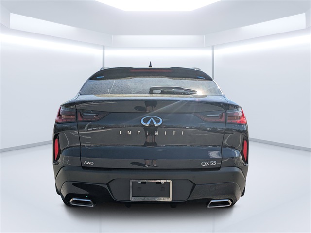 2025 Infiniti QX55 Luxe photo 4