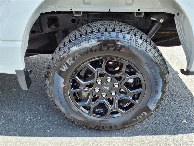 2024 Ford F-150 XLT photo 5