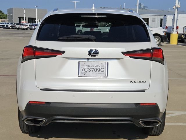 2019 Lexus NX 300 Luxury photo 6