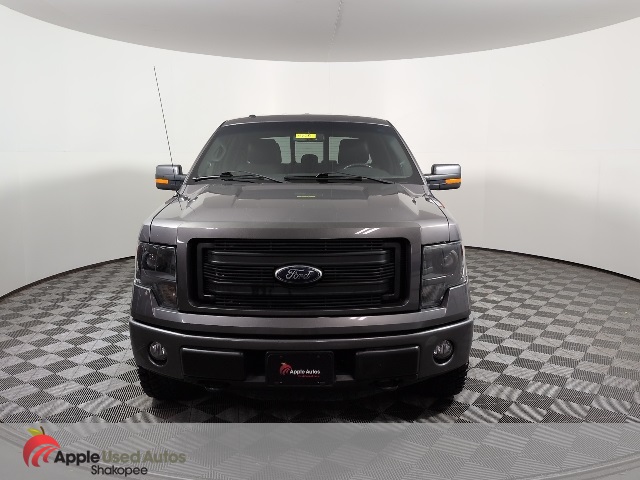 2014 Ford F-150 FX4 photo 2