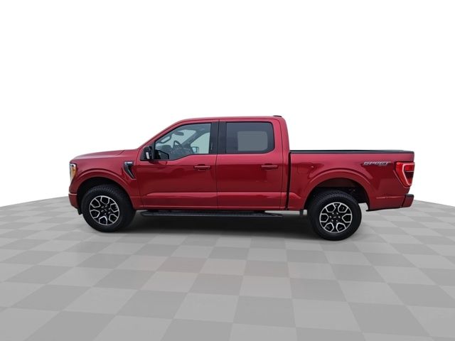 2022 Ford F-150 XLT photo 3