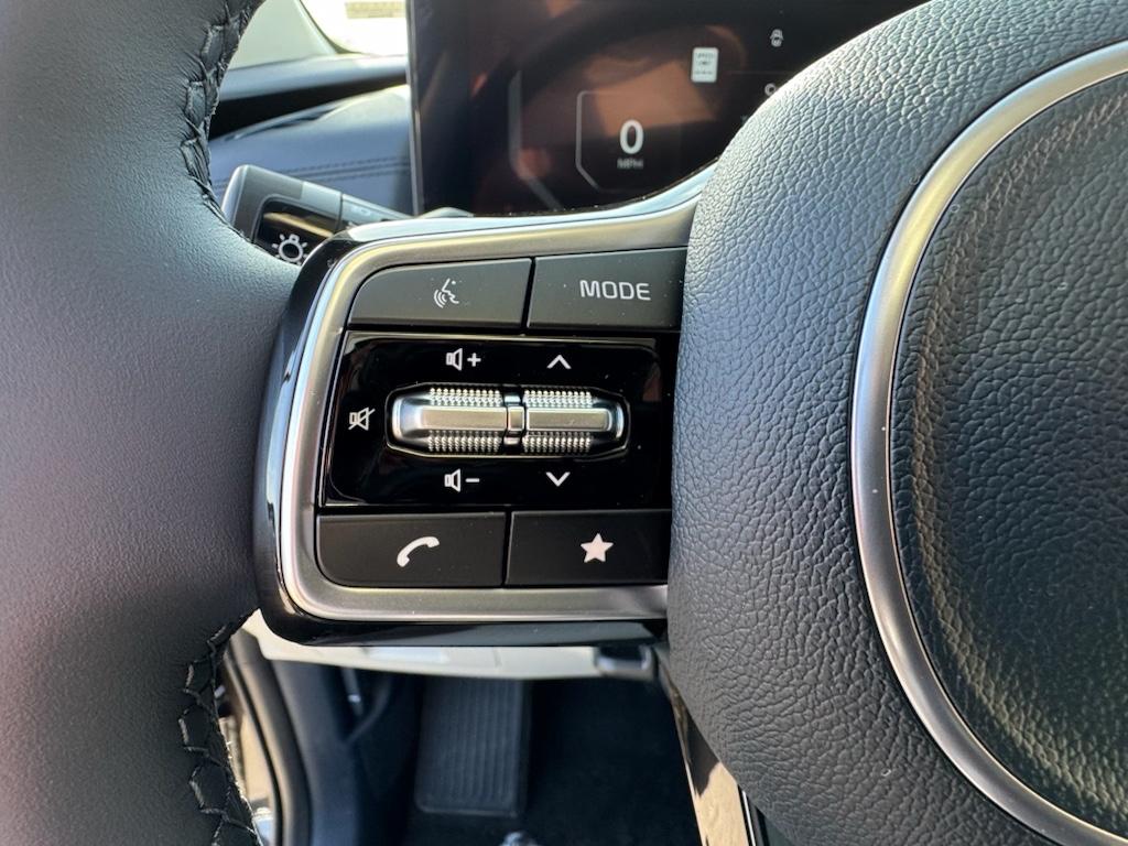 2025 Kia Carnival SX Prestige photo 10