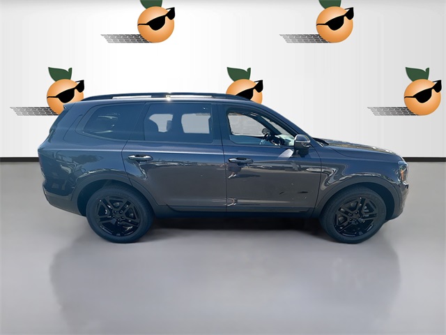 2025 Kia Telluride X-Line EX X-Pro photo 6