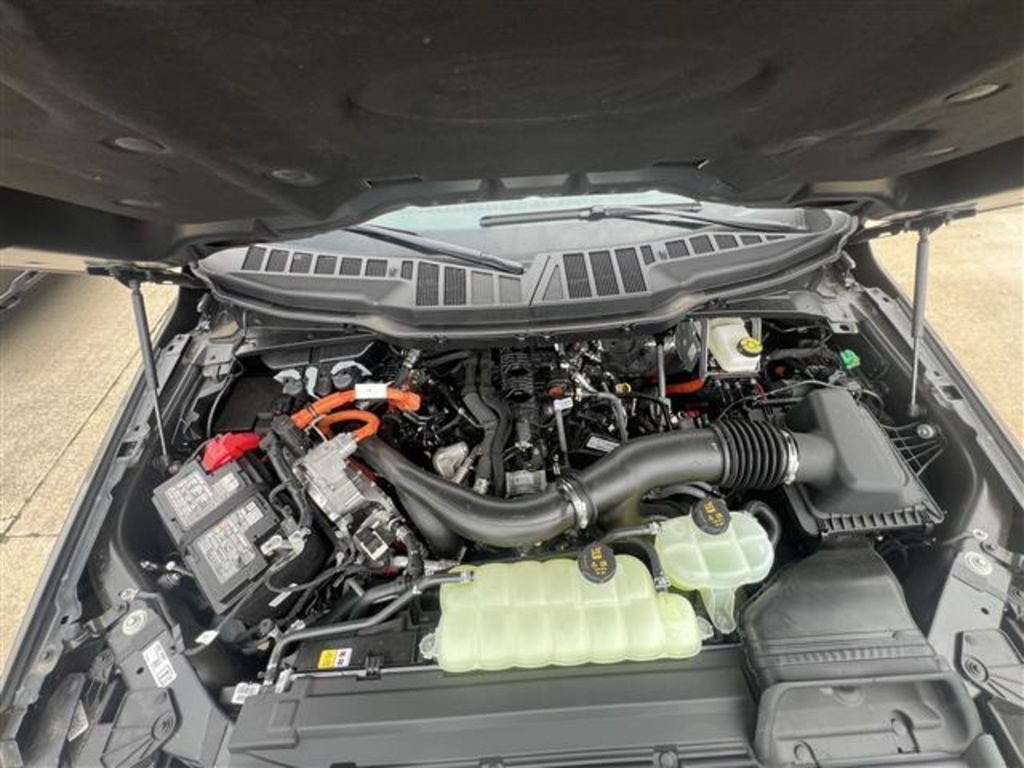 2025 Ford F-150 XLT photo 7