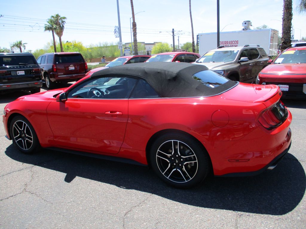 2023 Ford Mustang EcoBoost Premium photo 4