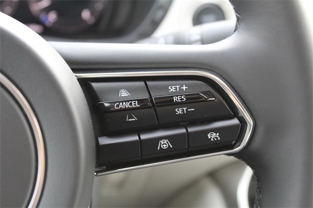 2025 Mazda CX-90 3.3 Turbo Premium Plus photo 23