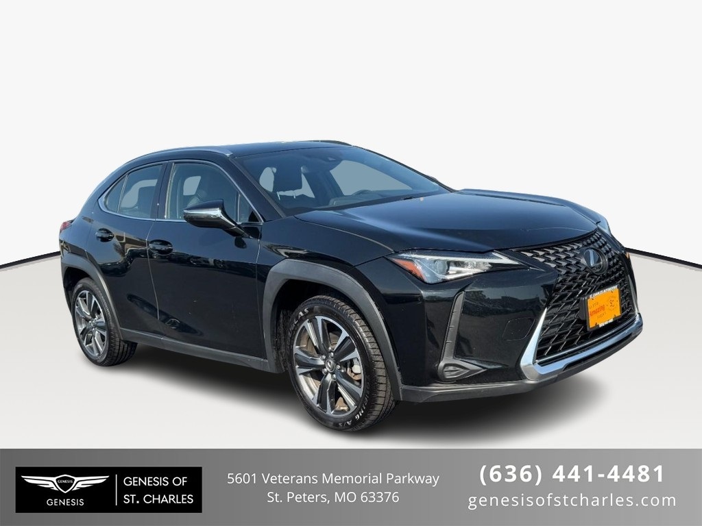 2019 Lexus UX 200's photo
