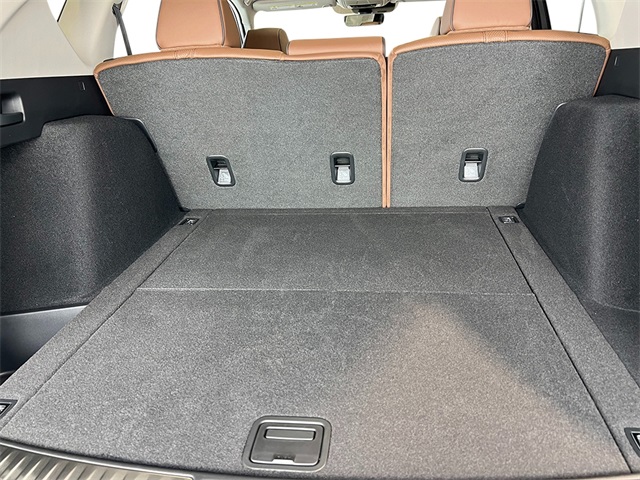 2025 Acura RDX Advance photo 32